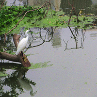 ����ͻϮ����