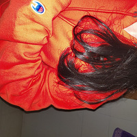 �������ֲݡ��氮champion�����¸������