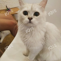 ߣèʵ��̫�а���