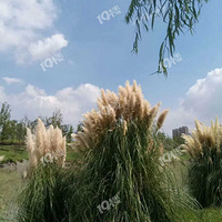 ��������Ҳ��������