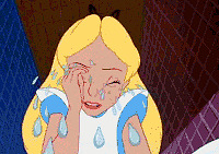 Ǿޱ̽��|������Ǽ���Ψһһ�ҹ��ŵ� ���ڱ����ҵ��ˣ�