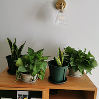 ������װ�α���Ҵ�������ɹ���Ρ�+ȫƾ�Լ�ϲ��