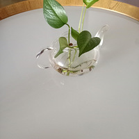 ����Բ�����ӣ���ӭǰ����ѯ