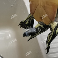 ��������������ڹ����