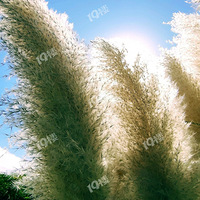 ��δ���������̵���ڰ�Ķ���￴��