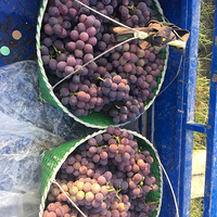 ��ˮ���ϰ���Ҫ�޷����ѵĿ�����ϵ�ң��۸���ˣ����ṩ��������