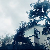 ����ɽ�еĹµ�����