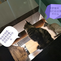 ߣè������