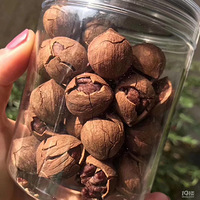 ���ٰ�ɽ�����Բ�������