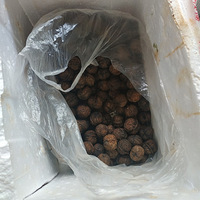 ���ż���20�����ʴ����