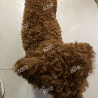 ��̩�Ϲ����˻�����������