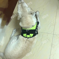 ���������������Ϫ��˭�Ҷ�ʧһ����������Ȯ