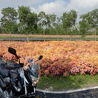 ����תת��