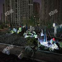 ��ֵ���𾴵���