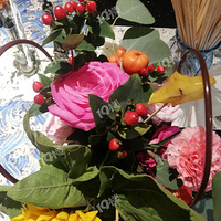 ����ȥ�������������е�С����Ŷ�����һ