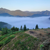 ľ��{�ƺ���