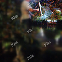 �����������������ȶ������壬��������Ұ��Ϻ��