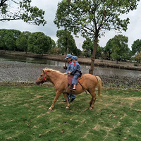 ����������ƺ��ȥ������