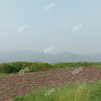 ��ɽ���ź���