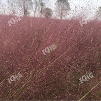 ���ּ����������