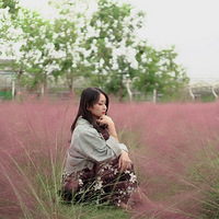 �����������ա�����Ҳ������