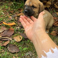 �����Ĺ������һ����˼�