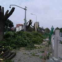 ��������Ҫ�����ꣿ