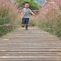 �����̵�һ����