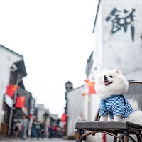 �����º�����