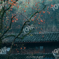 �Լ�����û��