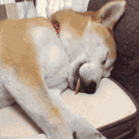 ����19¥&С��������ױ���ÿ�����~�ְ��ֽ������ն��ױ��