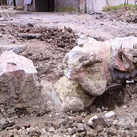 �����˳ǡ����ಿλ��������������Ž�����ַ�Ͻ���԰