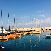 ��ɫ������