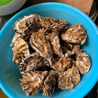 �Ա������������ó�