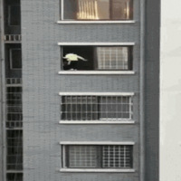 ҵ��Ⱥ�贫���ܺ���13¥��̨�����£����޵㿪һ�������