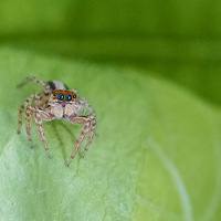 ��������-���롣����