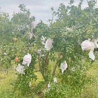 �����һ������ӭϲ����ľ԰�յ�����ָ��/����/��ӣ�