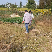 ʮ�����˪���棬һƬ����������---2019���ﶬ�����ж�