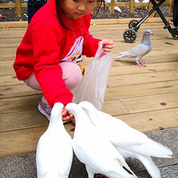 �������ġ�