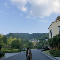 ���ֲݡ������ܵĴ��� ��������