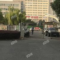 �˿̣�������