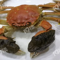 ·�ϼ����һֻ4�ɶ�����з��һ�������ˣ����͵�һ����