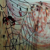 ���㻯��ʥ�ڹ�ױ ױ��ĵ��̡�Ƥ������̫��ʵ�ˣ�