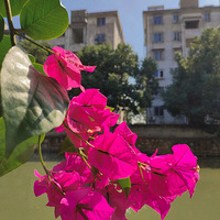 ���������ģ���������˲�䡣