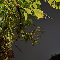 ���������ģ���������˲�䡣