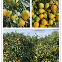 ���������Ӽ����ϡ�������