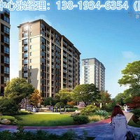 2019�����������������¼۸񣡺�������������ͼ�Ľ�����������