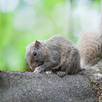 ���˵�һ�� 6�����������