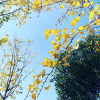 �� ������