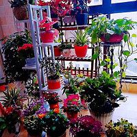 ������װ�α���Ҵ���������̨�о���+��̨�л�������ʱ��